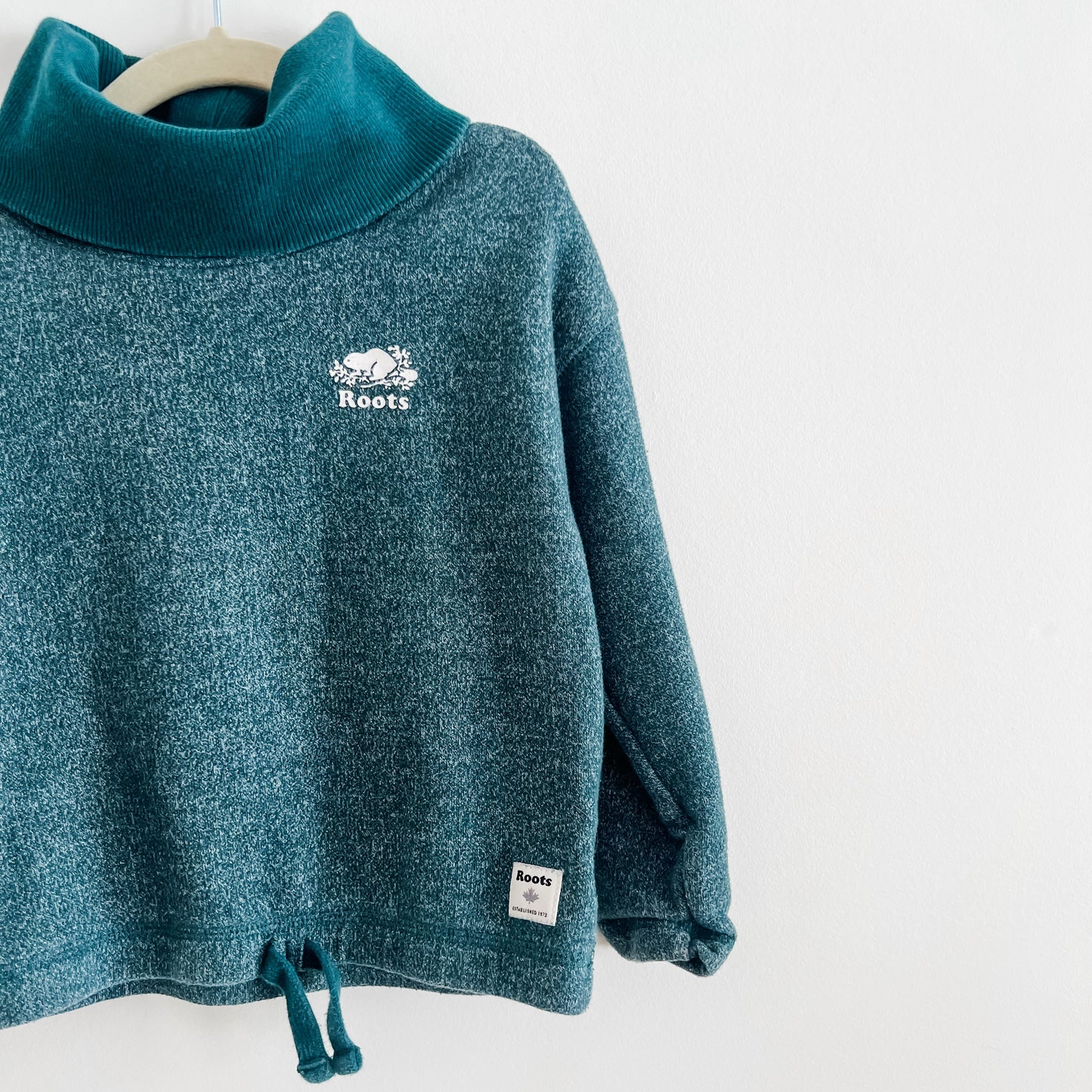 Roots Turtleneck Sweater (2T)